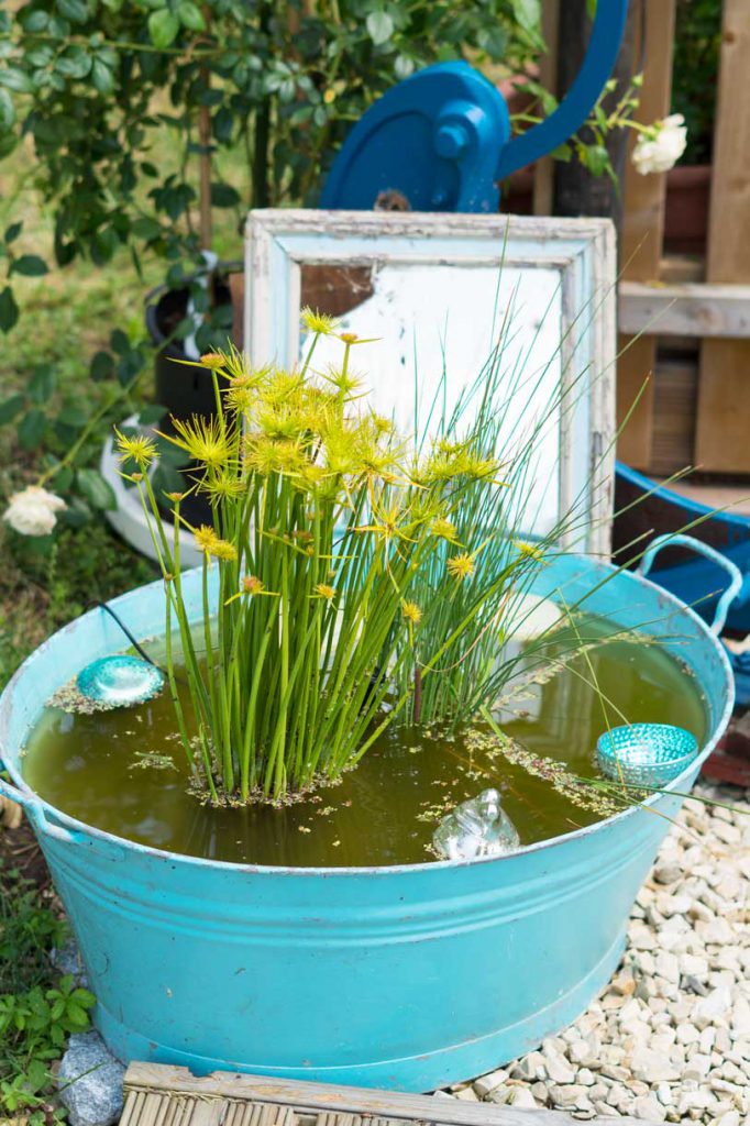 Gartendekoration mit türkisfarbener Zinkwanne, Wasserpflanzen und einem dahinter aufgestellten SpiegelSpiegel